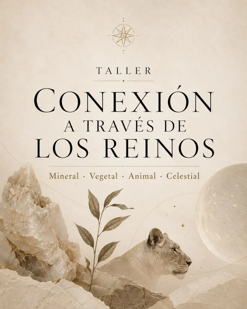 Conexion a traves de los Reinos
